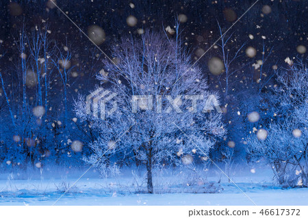 Hokkaido in winter Hokkaido in winter 46617372