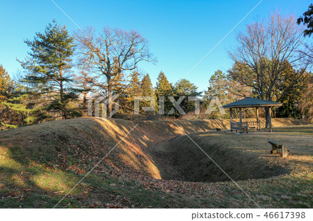 Nitoge Hitomi of Tanto Castle Yamanashi Prefecture Hokuto City Oizumi Town 46617398