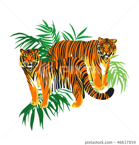 Two graphic tigers standing among the exotic leaves 46617859