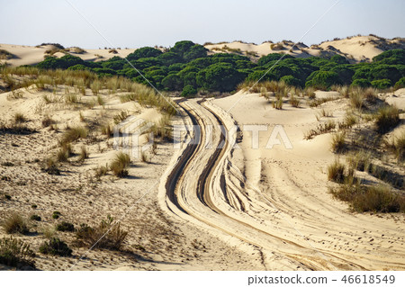 Wheel marks across the sand of the desert Wheel marks across the sand of the desert 46618549