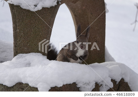 Satozuka的Ezoris 46618809