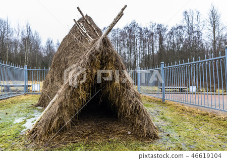Lenin's hut near lake Razliv 46619104
