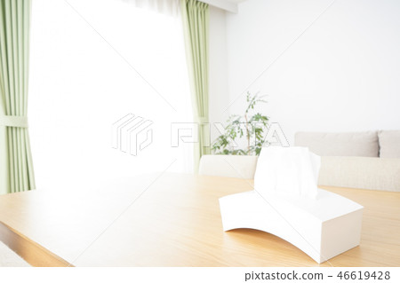 現代室內裝飾 現代室內裝飾 46619428