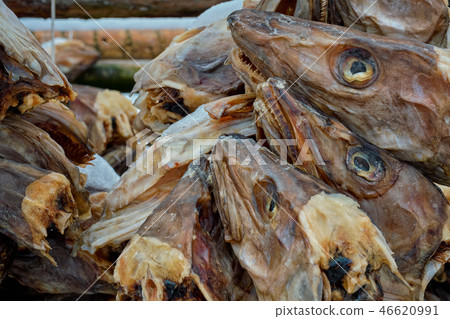 Drying stockfish cod heads in Reine fishing village in Norway Drying stockfish cod heads in Reine fishing village in Norway 46620991