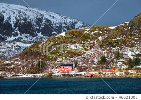 Red rorbu houses in Norway in winter 46621003