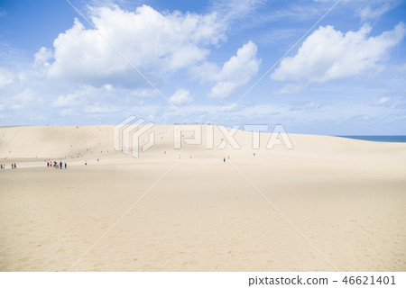 Tottori sand dunes Tottori sand dunes 46621401