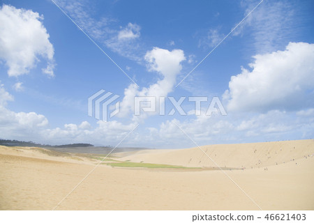 Tottori sand dunes 46621403