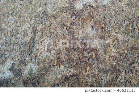 Rough raw coquina shell stone surface texture 46622113