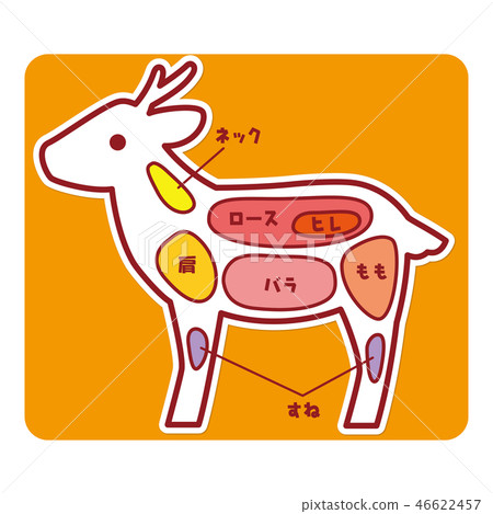 食物例證/鹿肉的一部分 食物例證/鹿肉的一部分 46622457