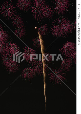 Tone River煙花 Tone River煙花 46622504