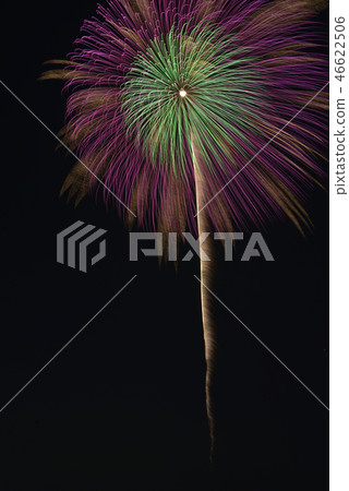 Fireworks of Tone River Fireworks of Tone River 46622506