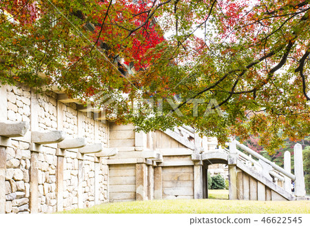 White king of Bulguksa 46622545
