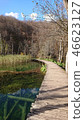 十六湖國家公園[克羅地亞] 46623127