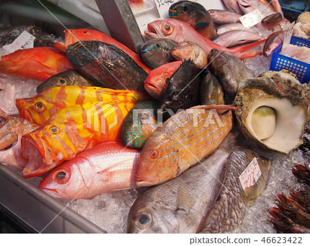 Okinawa 1st Makishi Public Market Okinawa 1st Makishi Public Market 46623422