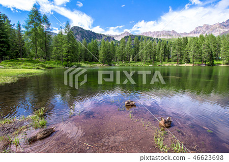San Pellegrino lake in the Italian Dolomites 46623698