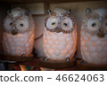 Wolf owl 46624063