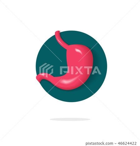 Stomach logo vector icon isolated, abdomen emblem clipart 46624422