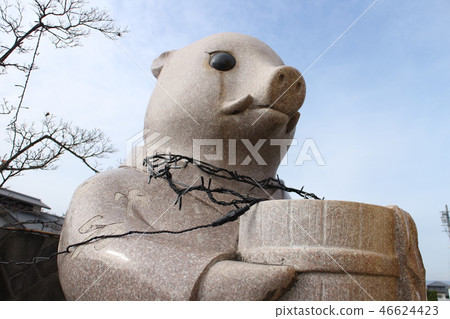 Year of age 46624423