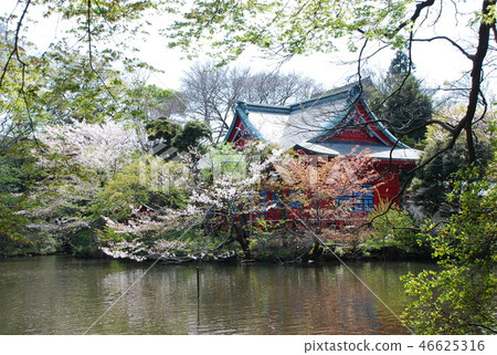 Benzaiten Temple Environs, Inokashira Park 2007 Benzaiten Temple Environs, Inokashira Park 2007 46625316
