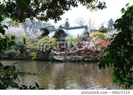 Benzaiten Temple Environs, Inokashira Park 2007 Benzaiten Temple Environs, Inokashira Park 2007 46625319