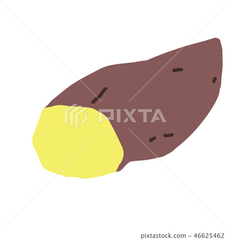 Sweet potato / Satsuma sweet potato _ 05 light yellow Sweet potato / Satsuma sweet potato _ 05 light yellow 46625462