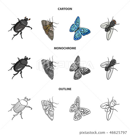 Arthropods insect beetle, moth, butterfly, fly. Insects set collection icons in cartoon,outline 46625797