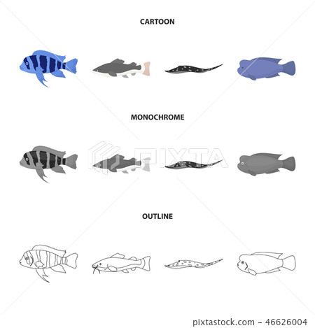 Frontosa, cichlid, phractocephalus hemioliopterus.Fish set collection icons in cartoon,outline Frontosa, cichlid, phractocephalus hemioliopterus.Fish set collection icons in cartoon,outline 46626004
