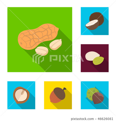 Different kinds of nuts flat icons in set collection for design.Nut Food vector symbol stock web 46626081