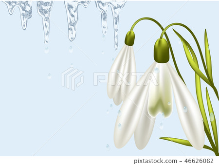 background with snowdrop 46626082