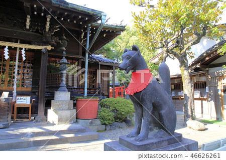 Sango Shrine (Miguregin Jinja) Shiba Inu, Sumida-ku, Tokyo, Japan Sango Shrine (Miguregin Jinja) Shiba Inu, Sumida-ku, Tokyo, Japan 46626261