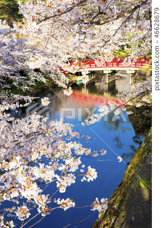 Underpass bridge and moat (vertical) Underpass bridge and moat (vertical) 46628679
