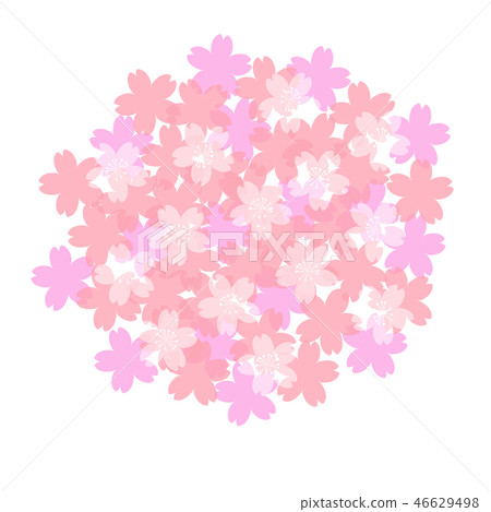 Cherry blossom icon illustration Cherry blossom icon illustration 46629498