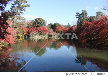 Sendong故宮秋葉風景 Sendong故宮秋葉風景 46630084