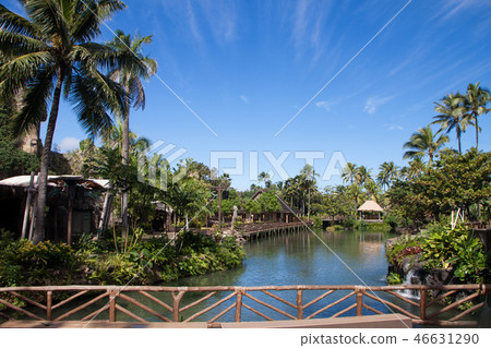 夏威夷棕櫚樹藍天原住民的房子 46631290