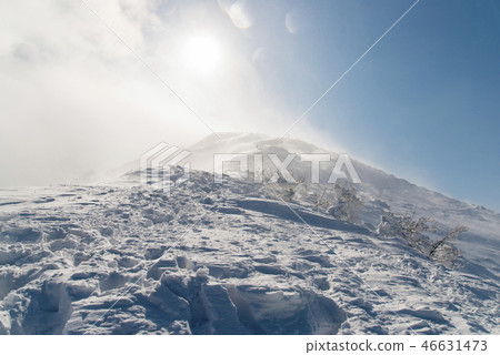 Oyama登山冬季（鳥取） 46631473