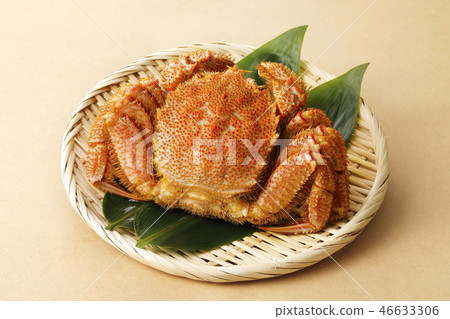 發蟹 46633306