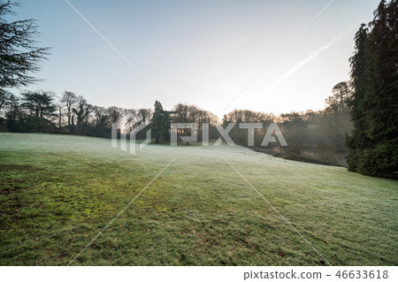 Morning in city park 46633618