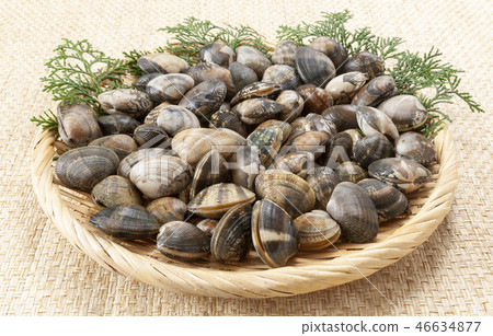 Asari Asari 46634877