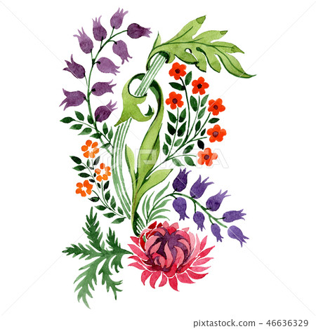 Red and purple floral botanical flowers. Watercolor background illustration set. Isolated ornament Red and purple floral botanical flowers. Watercolor background illustration set. Isolated ornament 46636329