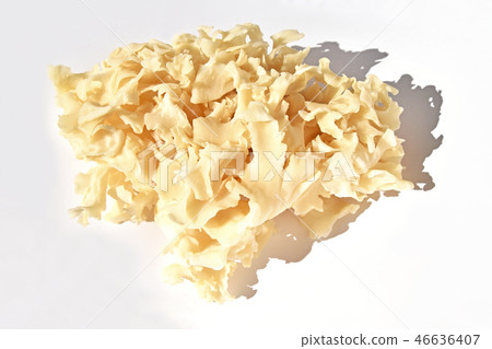 Mushroom (petal cake) Mushroom (petal cake) 46636407