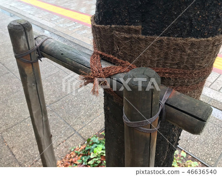 雙腿牌坊柱 雙腿牌坊柱 46636540