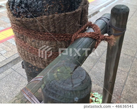 雙腿牌坊柱 雙腿牌坊柱 46636541