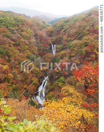 朦朧的瀑布 46636771