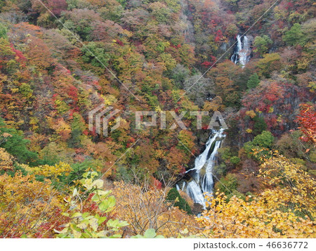 朦朧的瀑布 朦朧的瀑布 46636772