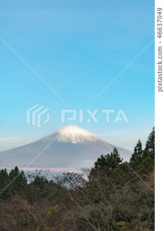 御殿場的富士山 46637049