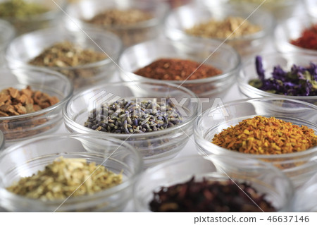 草本圖像 草本圖像 46637146