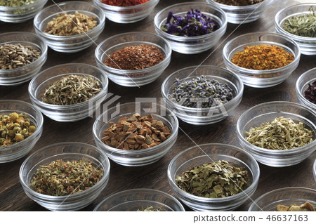 草本圖像 46637163