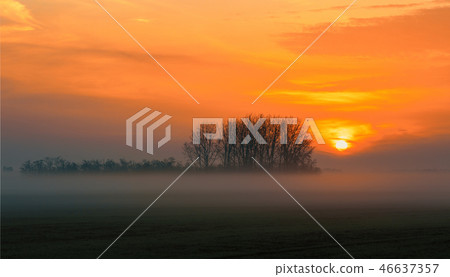 Sunrise landscape of Hortobagy landscape Sunrise landscape of Hortobagy landscape 46637357