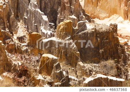 Ankarokaroka canyon in Ankarafantsika, Madagascar 46637368