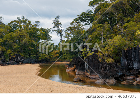Masoala National Park, Madagascar 46637373